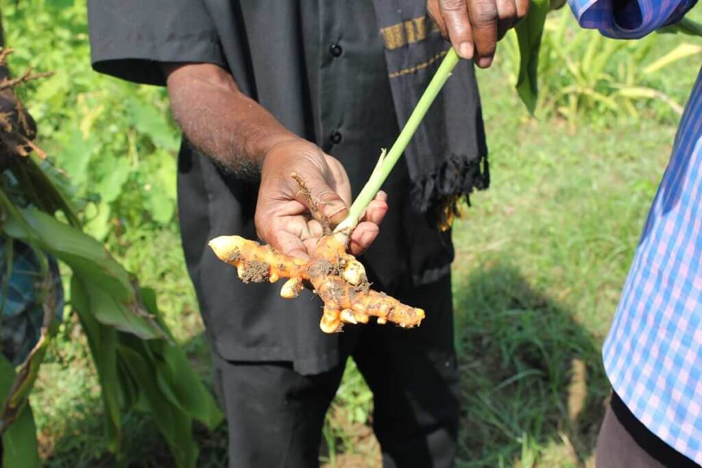 En bonde visar upp sin gröda