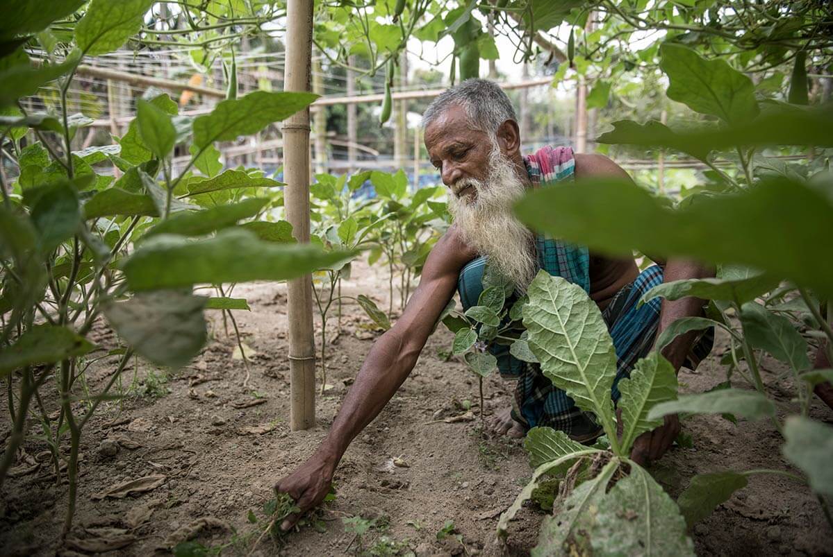 Bangladesh Resource Centre for Indigenous Knowledge