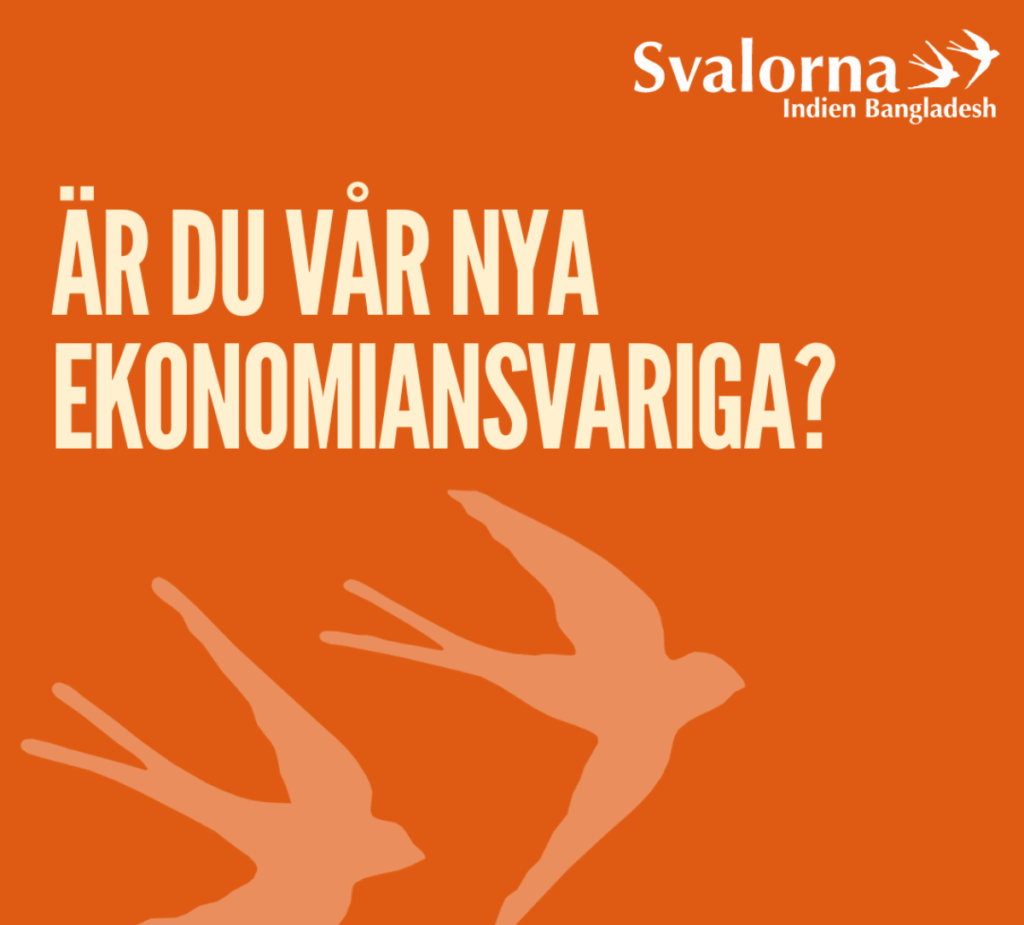 Annons ekonomiansvarig