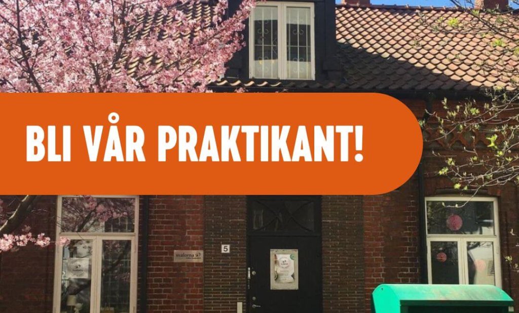 Bli vår praktikant!