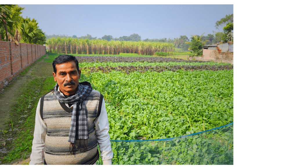 Shahar framför ett stort fält